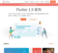 Flutter 中国